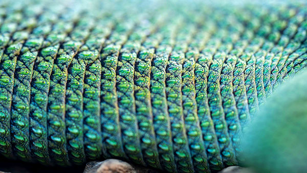 aquarium_38.jpg